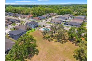 11579 WEAVER HOLLOW ROAD, NEW PORT RICHEY, FL 34654 - MLS#MFRW7876102