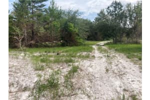 12643 PLACID ROAD, HUDSON, FL 34667 - MLS#MFRW7876113