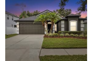 18916 New Passage Blvd, LAND O LAKES