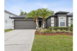 18916 NEW PASSAGE BOULEVARD, LAND O LAKES, FL 34638 - MLS#MFRW7876143