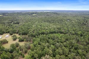 0 OLD CRYSTAL RIVER ROAD, BROOKSVILLE, FL 34601 - MLS#MFRW7876146