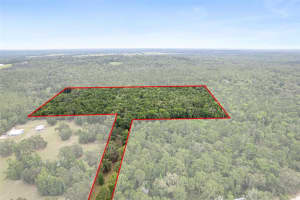 0 OLD CRYSTAL RIVER ROAD, BROOKSVILLE, FL 34601 - MLS#MFRW7876146