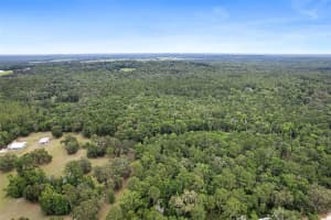 0 OLD CRYSTAL RIVER ROAD, BROOKSVILLE, FL 34601 - MLS#MFRW7876146