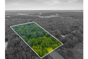RAIN FOREST RD, BROOKSVILLE, FL 34601 - MLS#MFRW7876216