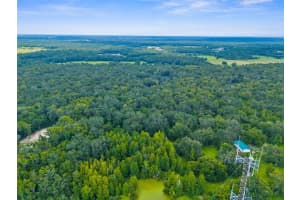 RAIN FOREST RD, BROOKSVILLE, FL 34601 - MLS#MFRW7876216