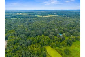 RAIN FOREST RD, BROOKSVILLE, FL 34601 - MLS#MFRW7876216