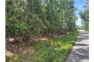 0 HOPE HILL ROAD, BROOKSVILLE, FL 34601 - MLS#MFRW7876225