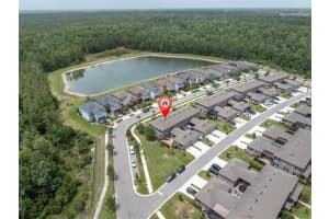 17316 CRUISER BEND, LAND O LAKES, FL 34638 Sold 07/23/25