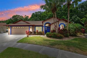 6505 BROADWING COURT, TAMPA, FL 33625 Sold 08/08/25