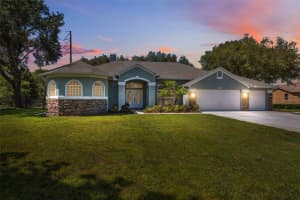 9431 AMIDON STREET, SPRING HILL, FL 34608 - MLS#MFRW7876272