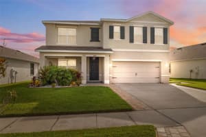 8938 Bower Bass Cir, WESLEY CHAPEL