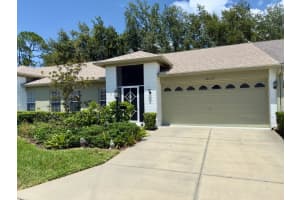 18142 Baywood Forest Dr, HUDSON
