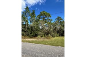 7181 REGENT TERRACE, CITRUS SPRINGS, FL 34433 - MLS#MFRW7876355