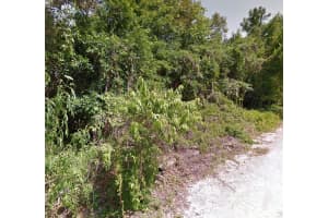 000 GILMER STREET, NEW PORT RICHEY, FL 34654 - MLS#MFRW7876447