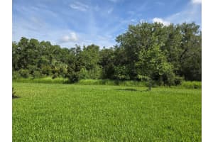 14429 MAIDEN TERRACE, LAKEWOOD RANCH, FL 34211 - MLS#MFRW7876464