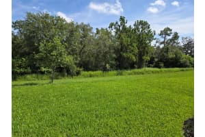 14429 MAIDEN TERRACE, LAKEWOOD RANCH, FL 34211 - MLS#MFRW7876464