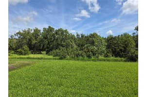 14425 MAIDEN TERRACE, LAKEWOOD RANCH, FL 34211 - MLS#MFRW7876465