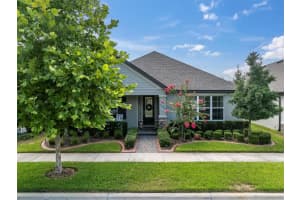 3885 VILLAMORE LANE, ODESSA, FL 33556 Sold 07/31/25