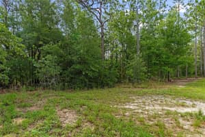 0 SAND PLOVER AVENUE, WEEKI WACHEE, FL 34614 - MLS#MFRW7876515