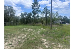 NUSSER AVE, WEEKI WACHEE, FL 34613 - MLS#MFRW7876519