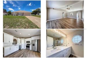 10124 Heathcliff St, SPRING HILL