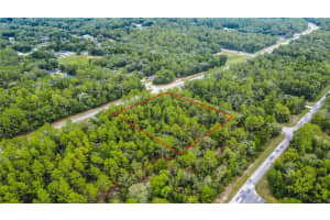 1287 EVERGREEN DRIVE, CITRUS SPRINGS, FL 34434 - MLS#MFRW7876528