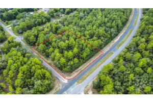 1287 EVERGREEN DRIVE, CITRUS SPRINGS, FL 34434 - MLS#MFRW7876528