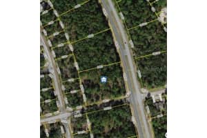 1287 EVERGREEN DRIVE, CITRUS SPRINGS, FL 34434 - MLS#MFRW7876528