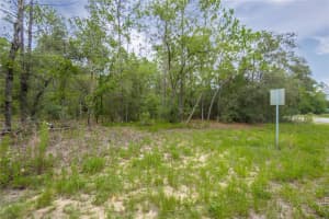 1287 EVERGREEN DRIVE, CITRUS SPRINGS, FL 34434 - MLS#MFRW7876528