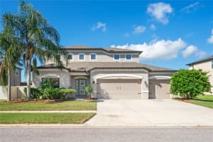 18558 Cortes Creek Blvd, SPRING HILL