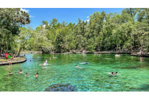 761 MYSTIC GARDENS DRIVE, APOPKA, FL 32703 - MLS#MFRW7876602