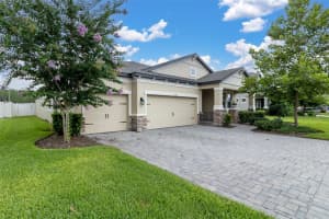 11876 RANCHERS GAP DRIVE, ODESSA, FL 33556 - MLS#MFRW7876616