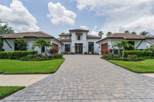 9704 MILANO DRIVE, TRINITY, FL 34655 - MLS#MFRW7876624