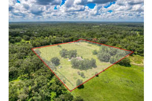 3011 ENDSLEY ROAD, BROOKSVILLE, FL 34604 - MLS#MFRW7876647