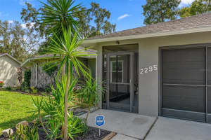 2295 RIO CIRCLE, SPRING HILL, FL 34608 - MLS#MFRW7876687