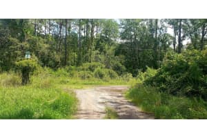 0 LADD AVENUE, NEW PORT RICHEY, FL 34654 - MLS#MFRW7876691