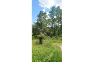 0 LADD AVENUE, NEW PORT RICHEY, FL 34654 - MLS#MFRW7876691