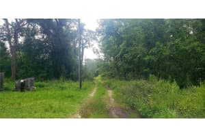 TBD LADD AVE, NEW PORT RICHEY, FL 34654 - MLS#MFRW7876693