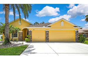 11204 Biddeford Pl, NEW PORT RICHEY