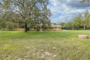 9328 FRED STREET, HUDSON, FL 34669 - MLS#MFRW7876895