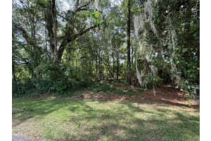 18035 GLEN RAVEN BOULEVARD, BROOKSVILLE, FL 34604 - MLS#MFRW7876905