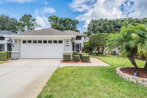 1045 Trafalgar Dr, NEW PORT RICHEY