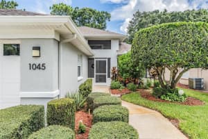 1045 TRAFALGAR DRIVE, NEW PORT RICHEY, FL 34655 - MLS#MFRW7876918