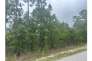 2 BALATA COURT, HOMOSASSA, FL 34446 Sold 08/15/25