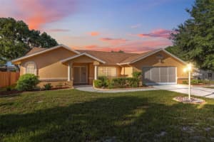 10394 Ireland St, SPRING HILL