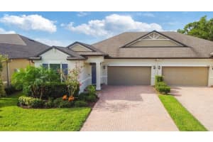 16874 Balance Cove, LAND O LAKES