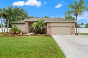 3901 Sandalwood Dr, LAND O LAKES