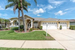 1610 WINDING WILLOW DRIVE, TRINITY, FL 34655 - MLS#MFRW7877048