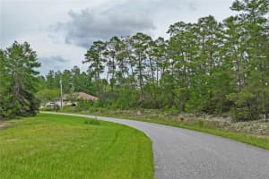 8541 NEWMARK WAY, DUNNELLON, FL 34433 - MLS#MFRW7877074