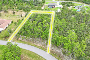 8541 NEWMARK WAY, DUNNELLON, FL 34433 - MLS#MFRW7877074